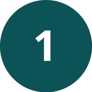 @Gov 1 Icon