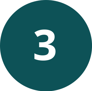 @Gov 3 Icon