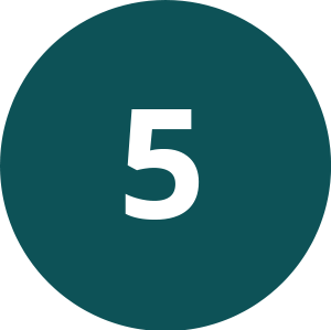 @Gov 5 Icon