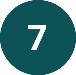 @gov 10 Icon