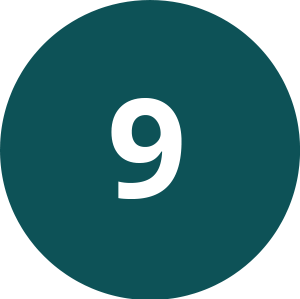 @gov 10 Icon