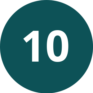 @gov 10 Icon