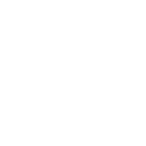 Dollar sign Icon