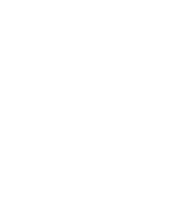 Security Icon White @Gov