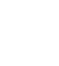 Secure Delivery Icon White @Gov